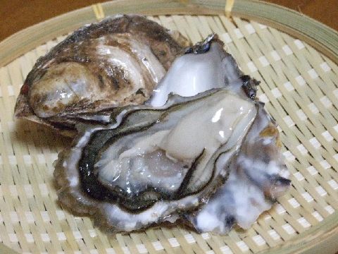 かき