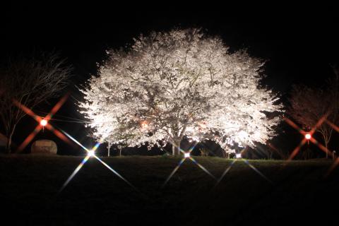 辰ノ口親水公園