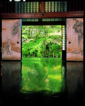 実相院 磨きぬかれた床に緑が映える
