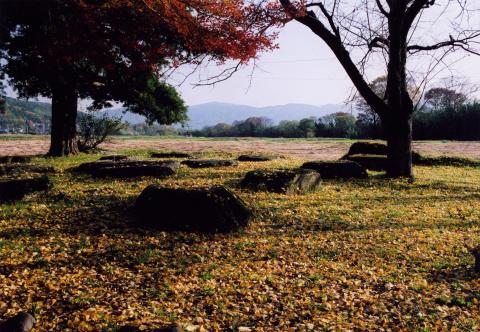 丹波国分寺跡