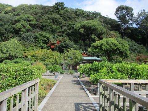 松山城二之丸史跡庭園 柑橘・草花園
