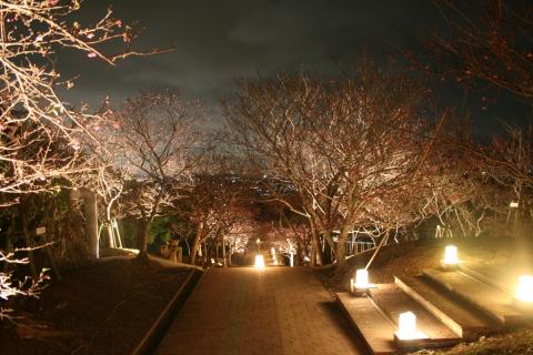 八重瀬公園