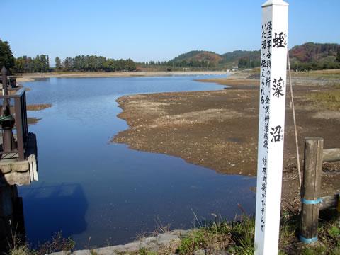 蛭藻沼