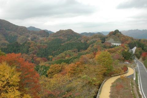 茨城県常陸太田市武生林道の紅葉風景