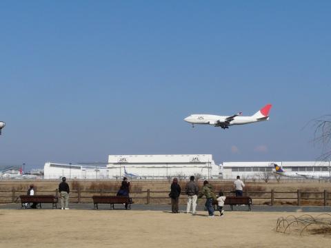 三里塚さくらの丘