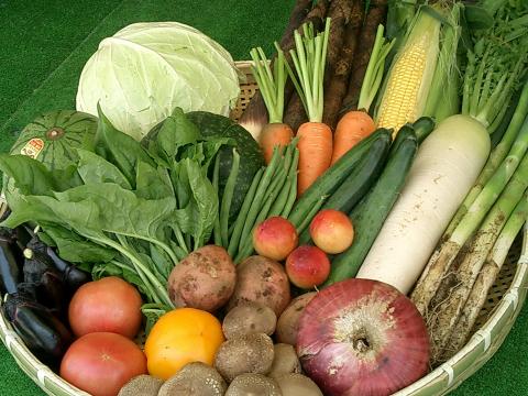 旬の朝採り新鮮野菜や加工品を取り揃えています。