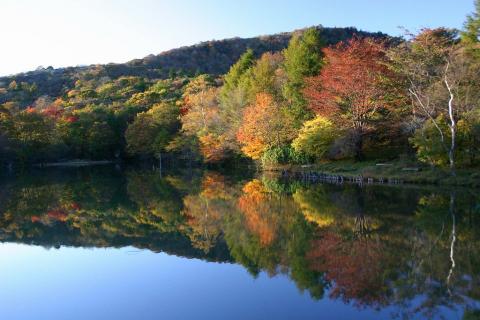 茶臼山紅葉