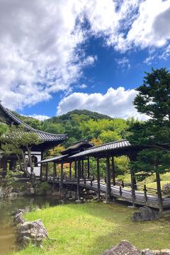 高台寺　境内