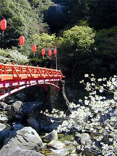 春の新緑や桜、夏の涼しげな不動滝、秋には紅葉と、四季折々の渓谷美をみることができます。