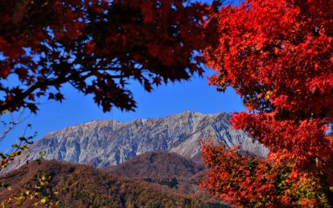 鬼女台展望休憩所から望む大山